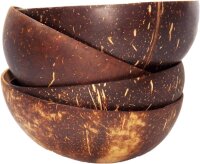 Copaya Coconut Bowl I 100% Naturproukt aus Kokosnuss-Schalen I Smooth poliert 1 Schale