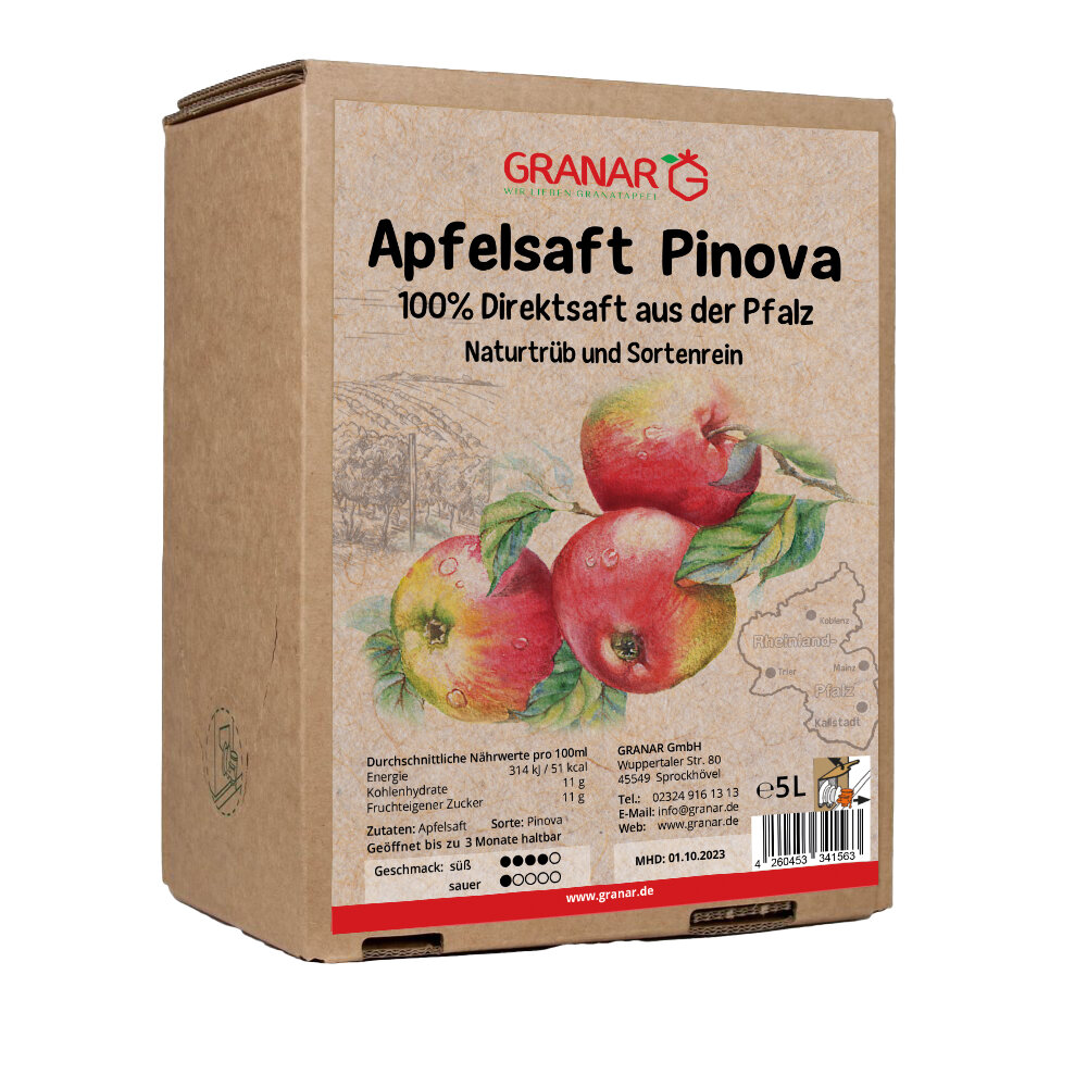 12,00 Pinova Liter-Box Apfel aus 5 der € Direktsaft Pfalz,